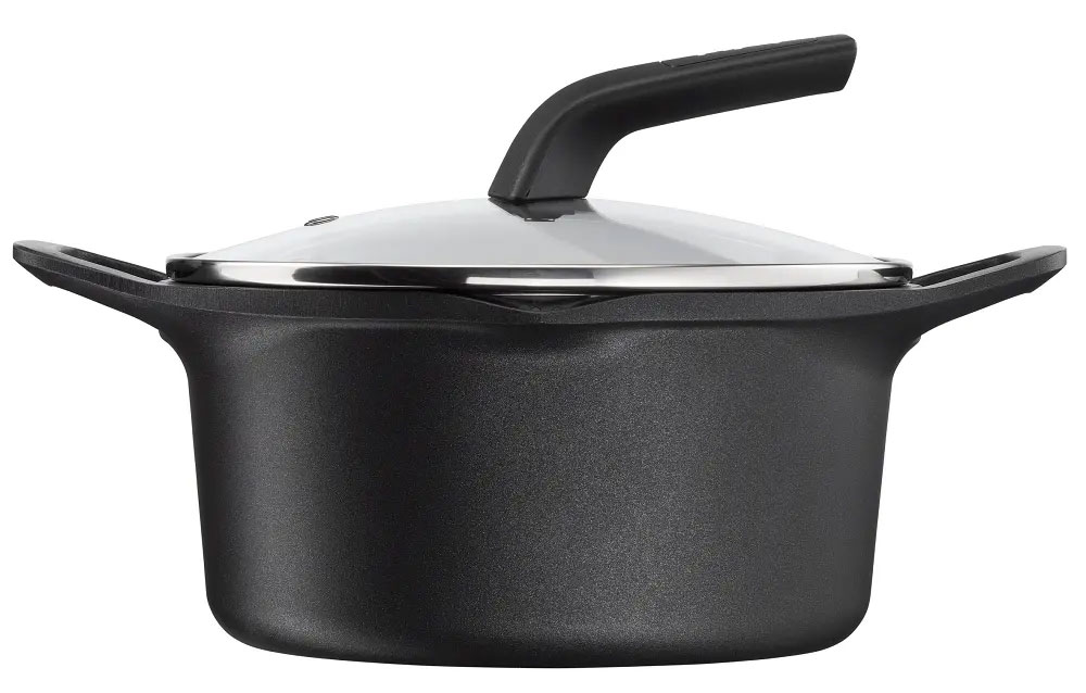 Nồi đúc cao cấp Tefal Robusto 20cm E2494444