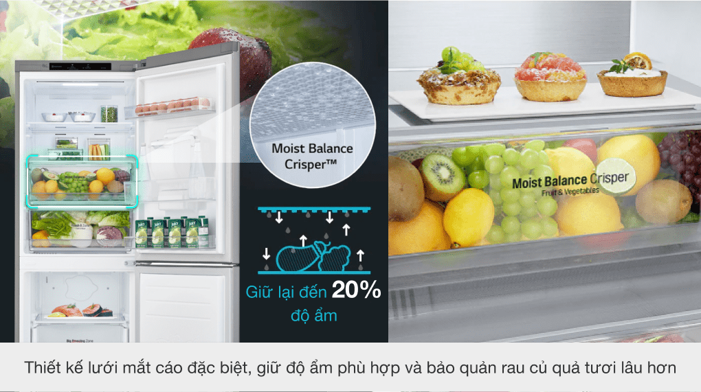 Ngăn rau củ tích hợp lưới cân bằng ẩm Moist Balance Crisper