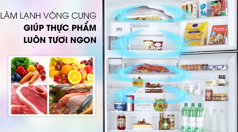 Công nghệ làm lạnh vòng cung hiện đại, làm lạnh đồng đều khắp tủ