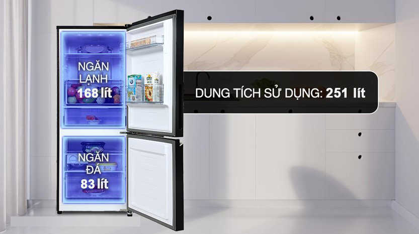 Tủ lạnh Panasonic NR-SP275CPAV có dung tích 251 lít phù hợp cho 2 - 3 người sử dụng