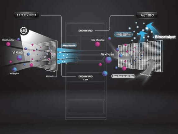 Tủ lạnh Toshiba GR-AG58VA được trang bị hệ thống Dou Hybrid kháng khuẩn