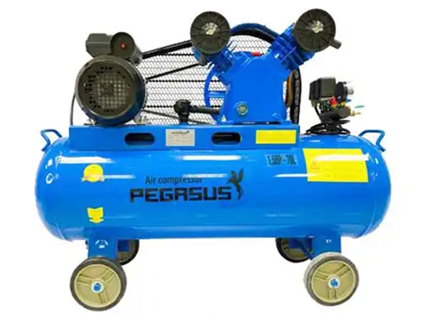 Máy nén khí Pegasus TM-V-0.25/8 (3HP - 220V)