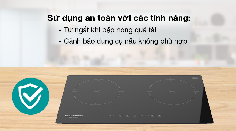 Bếp từ âm