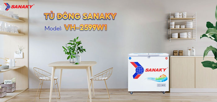 Tủ đông 2 ngăn 2 cánh Sanaky VH 2599W1 có thiết kế hiện đại