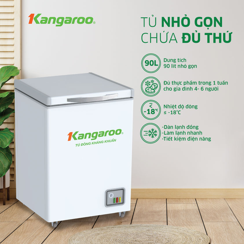 Tổng quan tủ đông kháng khuẩn Kangaroo KG168NC1 (90 lít)