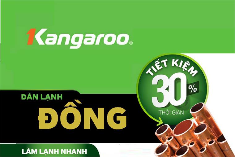 Tủ đông kháng khuẩn Kangaroo KG168NC1 sử dụng dàn lạnh đồng nguyên chất