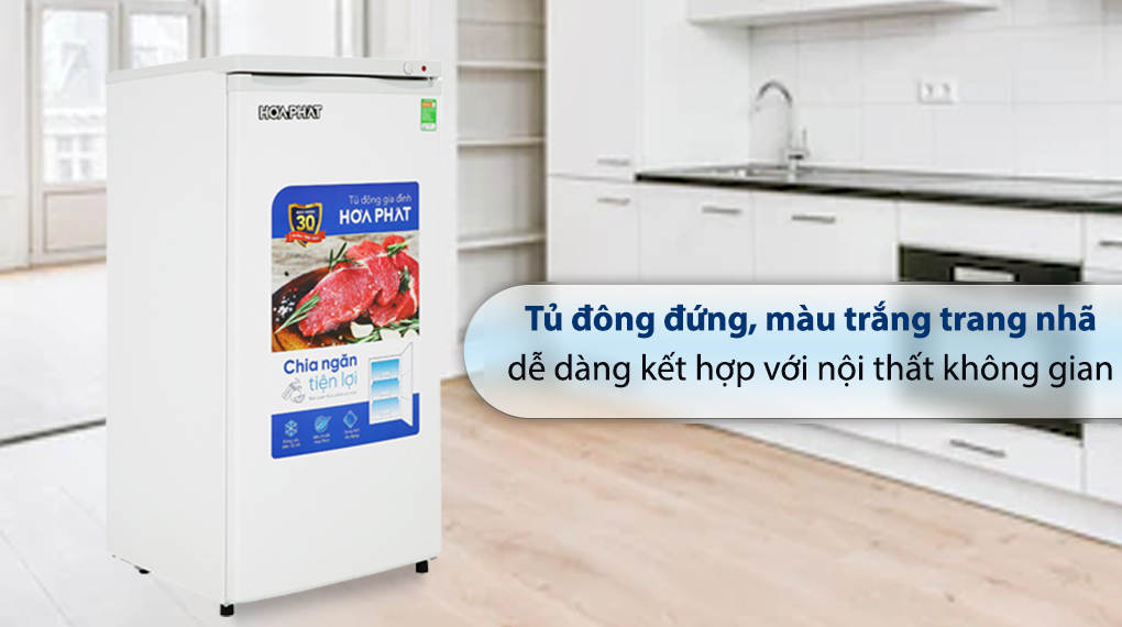 Tủ đông đứng Hòa Phát 147 lít HPF UAH6147 có thiết kế dạng tủ đứng 