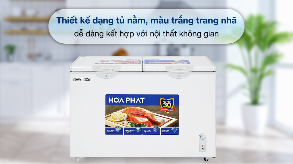 Tủ đông Hòa Phát HPF AD6352 có thiết kế hiện đại, trang nhã