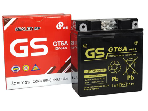 Ắc quy khô xe máy GS GT6A (12V - 6AH)