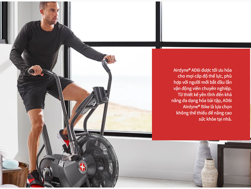 Xe đạp tập Airbike Schwinn Airdyne AD6i