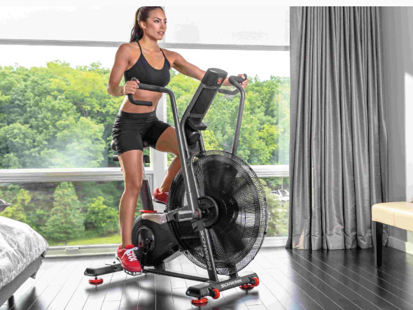 Xe đạp tập Airbike Schwinn Airdyne AD8i