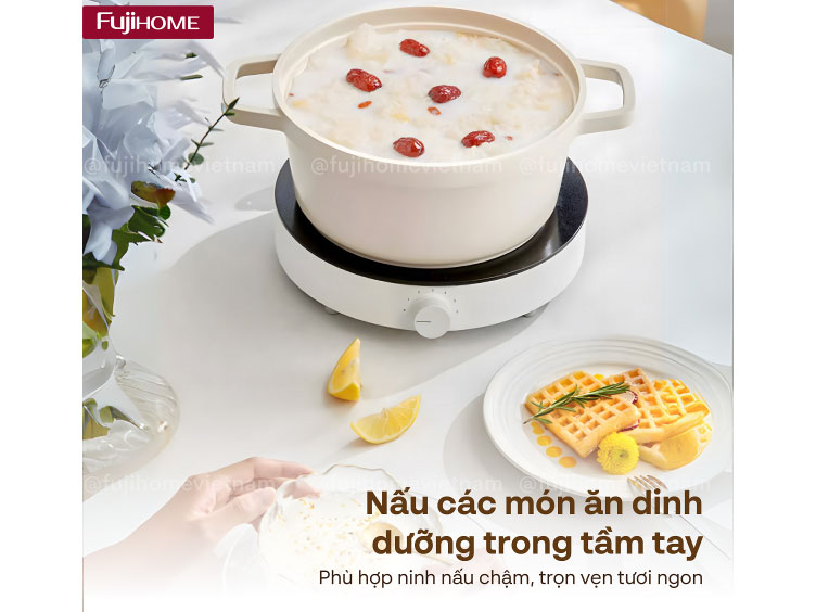 Bếp từ Fujihome 