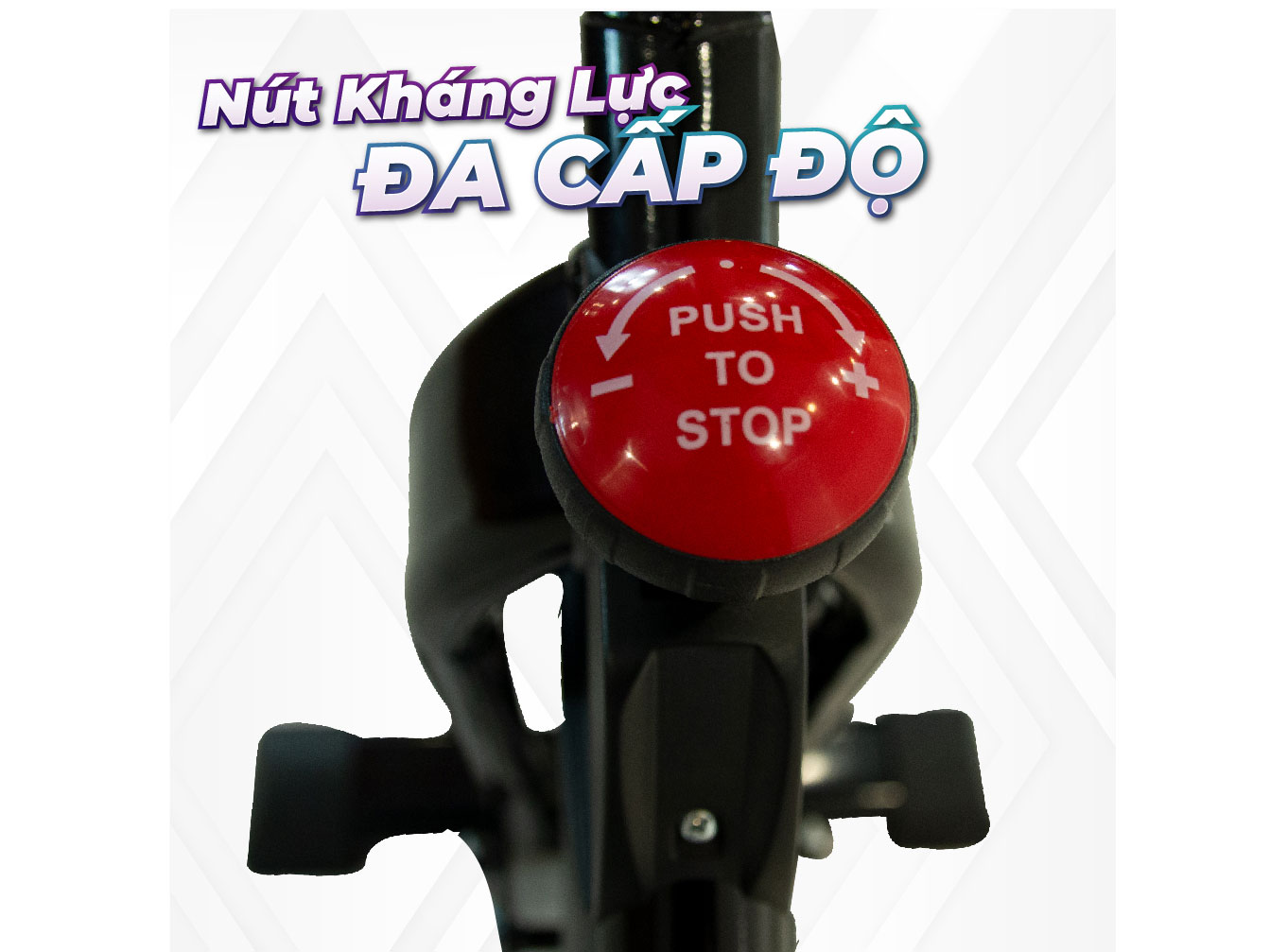 Xe đạp tập Bushido 