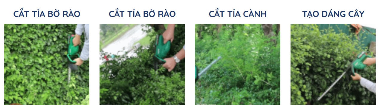 Máy cắt tỉa hàng rào cây cảnh  