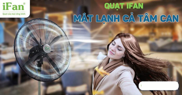 Quạt đứng công nghiệp iFan NS-Plus 