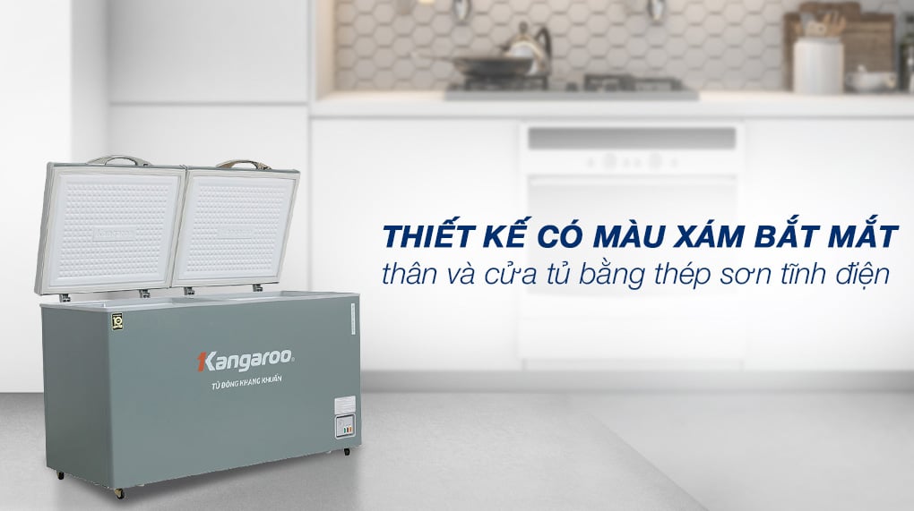 Tủ đông kháng khuẩn 2 ngăn 2 cánh không kính 327 lít KGFZ389NG2