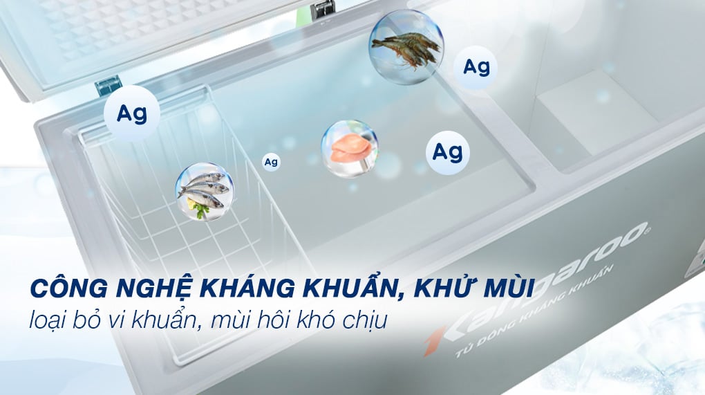 Tủ đông kháng khuẩn 2 ngăn 2 cánh KGFZ389NG2