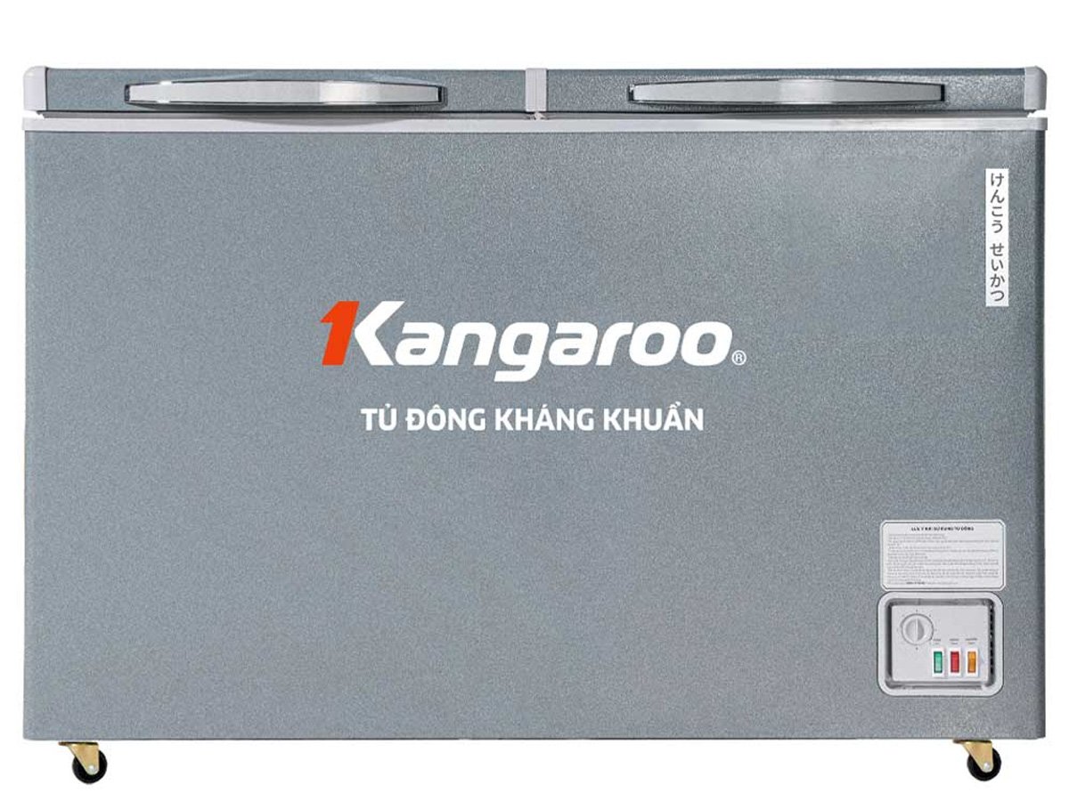 Tủ đông kháng khuẩn 2 ngăn 2 cánh không kính 327 lít KGFZ389NG2