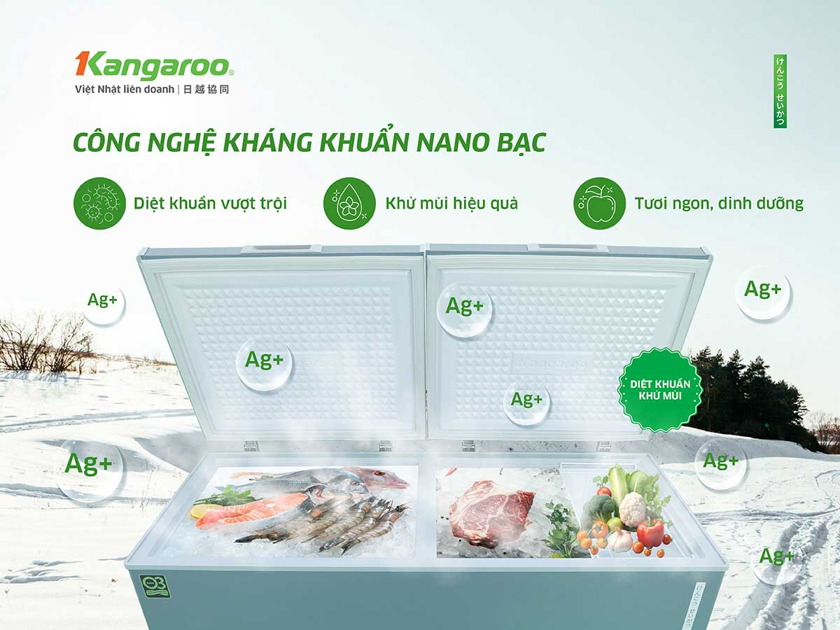 Tủ đông kháng khuẩn Kangaroo KG415G2D