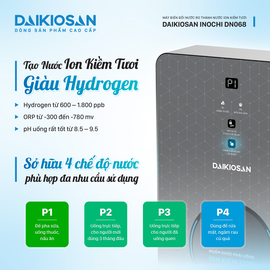 Máy lọc nước Daikiosan DN068