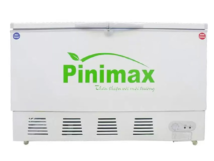 Tủ đông Pinimax PNM29WN