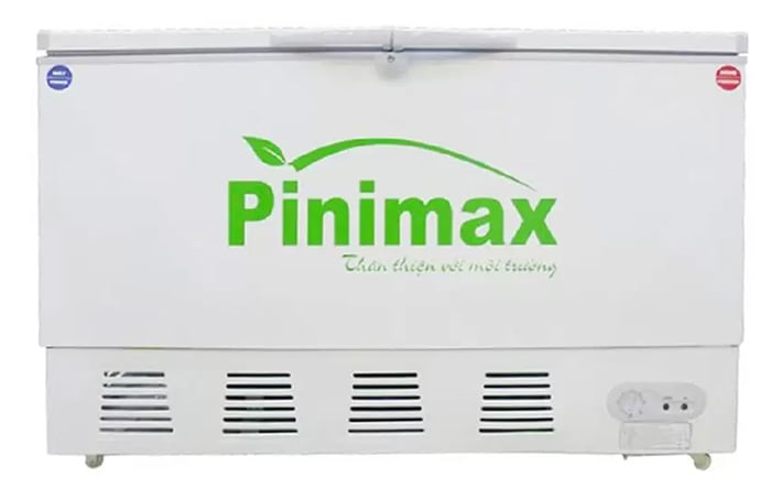 Tủ đông Pinimax PNM29WN