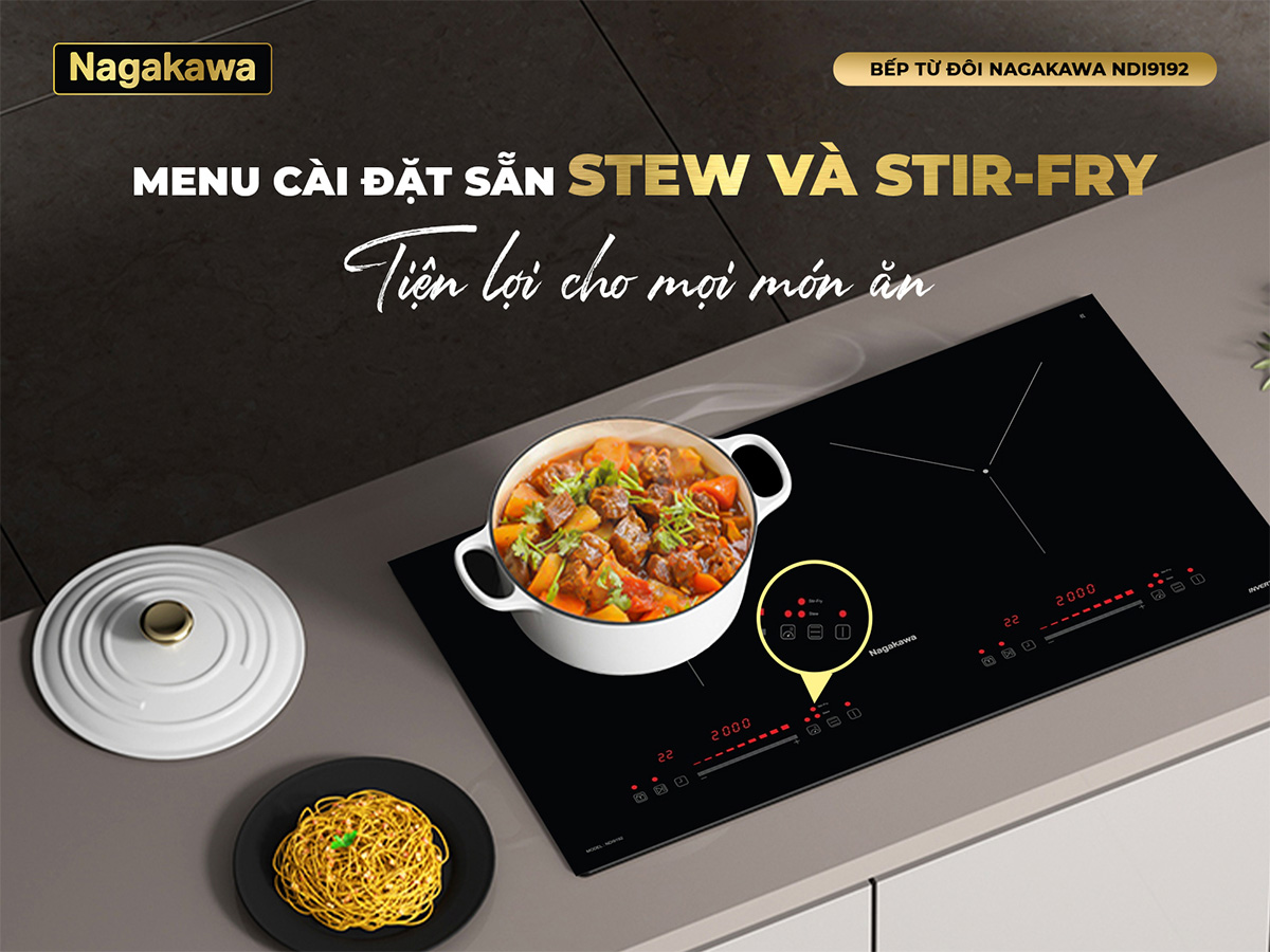 Bếp điện từ đôi 