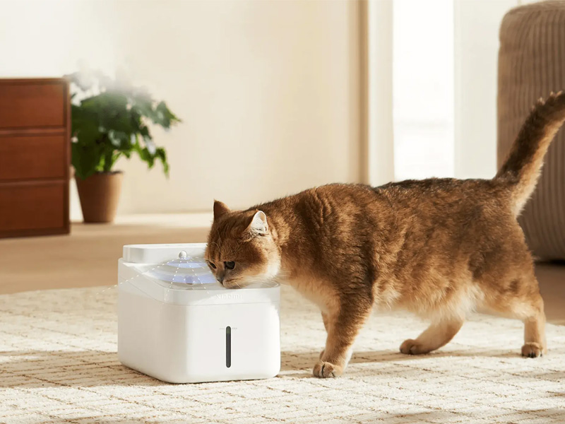 Review Xiaomi Smart Pet Fountain 2