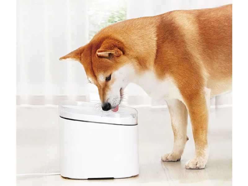 Xiaomi Smart Pet Fountain 2 có 3 chế độ đầu ra nước