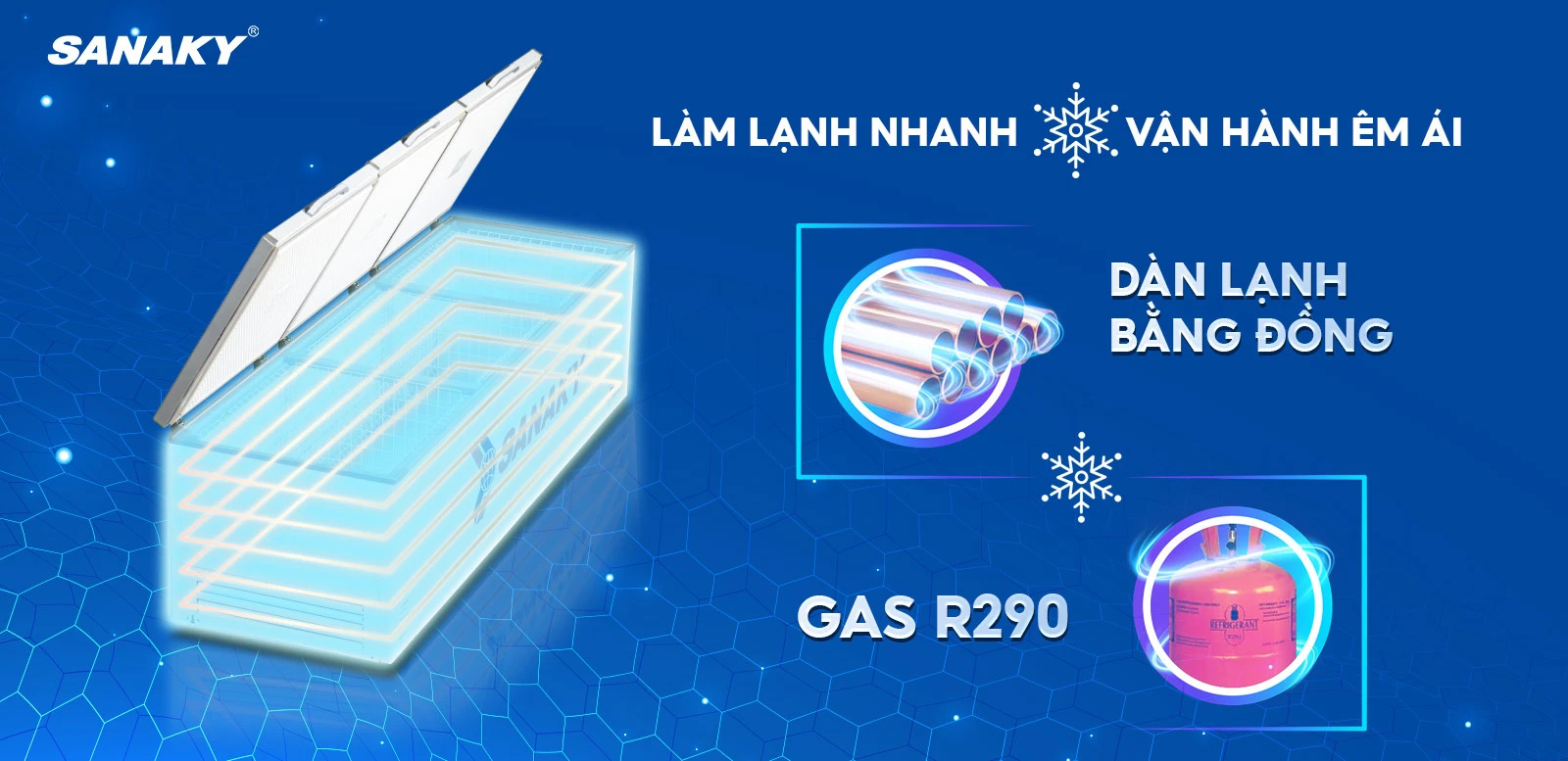 Tủ đông Sanaky  