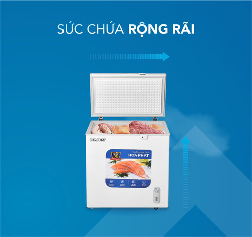 tủ đông Hòa Phát HPF AN6162 có sức chứa 162 lít 