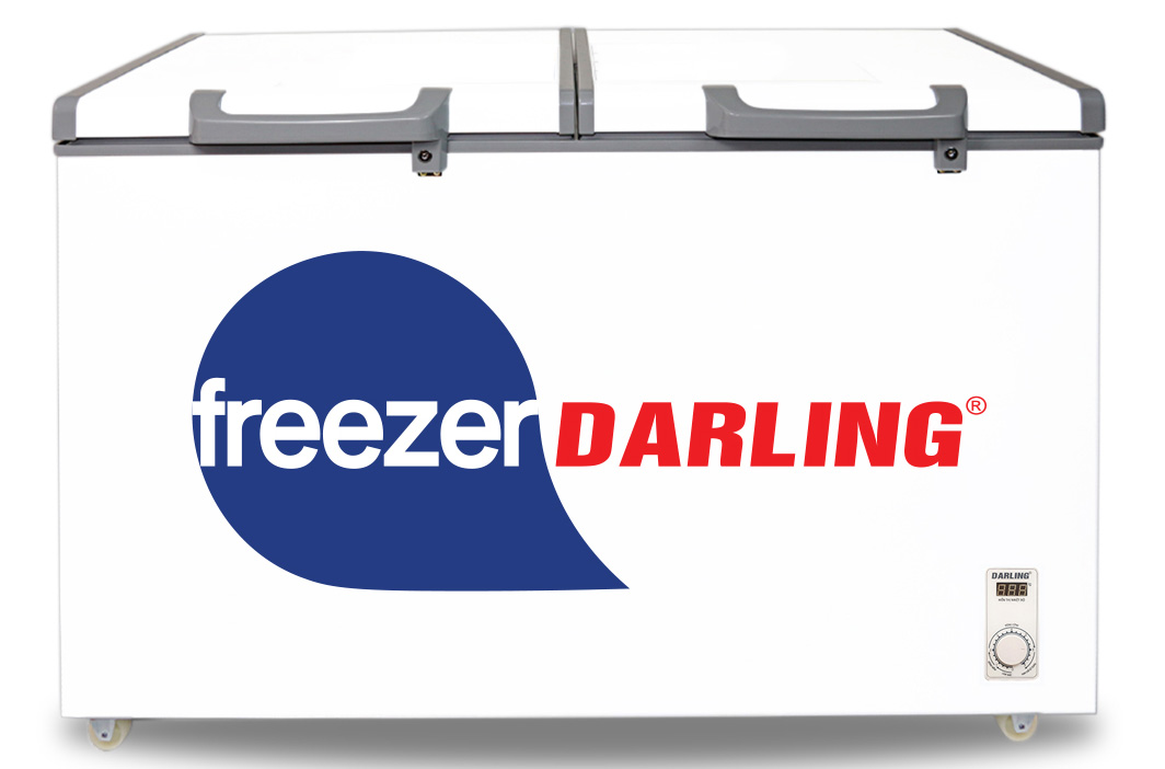 Tủ đông Darling DMF-1079AE 