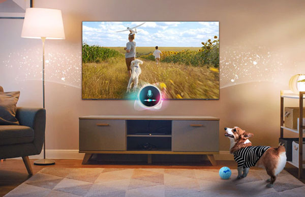 Smart TV Samsung OLED Vision AI 4K 77 inch QA77S90FAEXXV có chế độ Pet Care