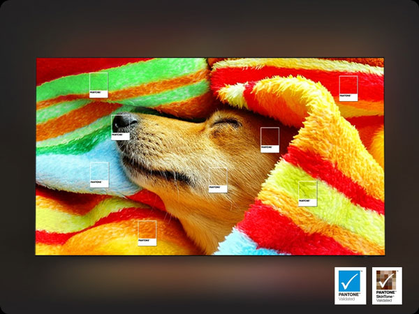 Smart TV QLED 4K Samsung 85 inch QA85Q7FAAKXXV đạt chứng nhận màu PANTONE