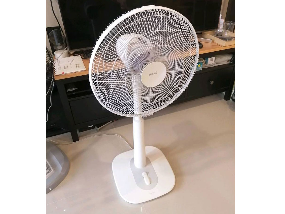 Quạt cây lửng Hatari S16M1 
