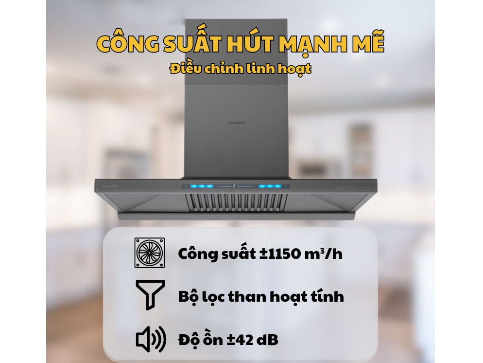 GrandX GX H70T81G