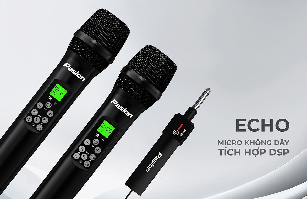 Micro Pasion Echo 2025