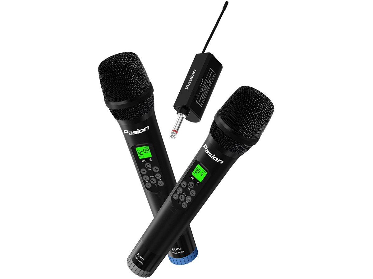 Micro Pasion Echo 2025