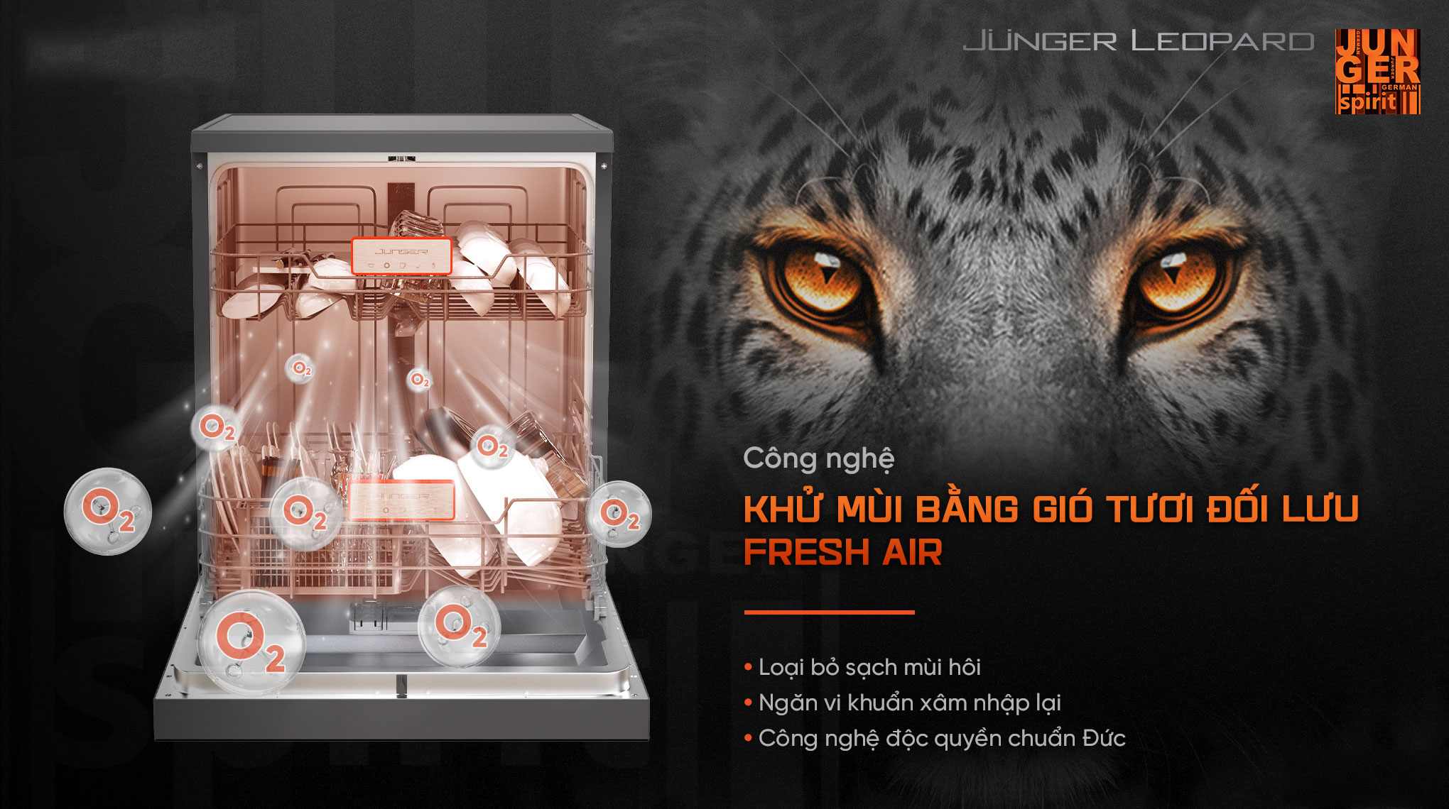 Máy rửa chén Junger 