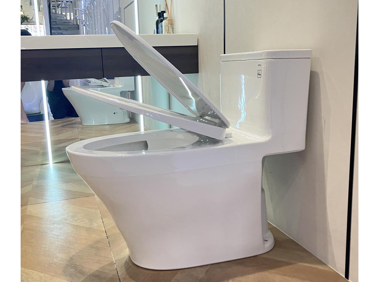 TOTO MS857DT10 1 khối nắp TC395VS