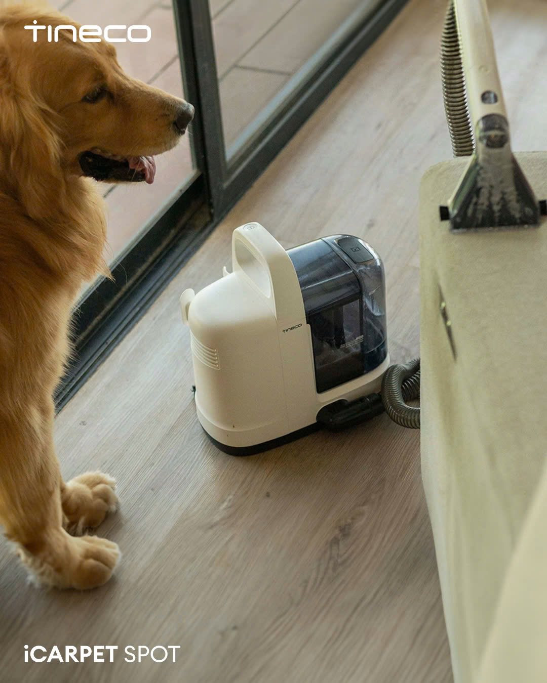 Máy giặt Tineco iCarpet Spot