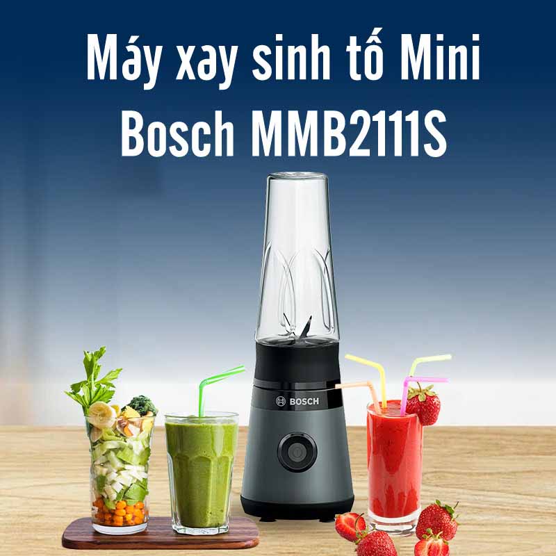 Máy xay sinh tố 