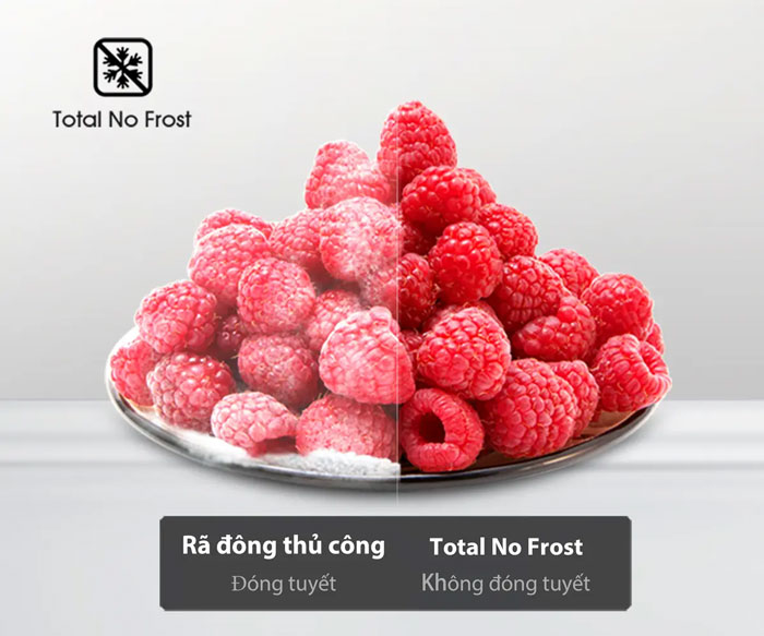 tủ lạnh side by side Hisense HS56WBG sử dụng công nghệ Total No Frost
