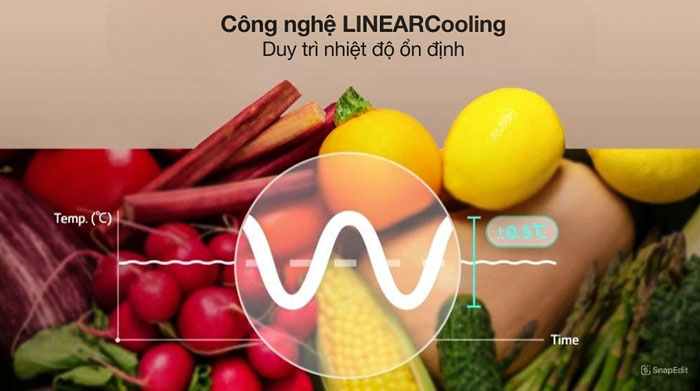 Tủ lạnh LG 217 lít LTB21BLMD còn được trang bị công nghệ LinearCooling