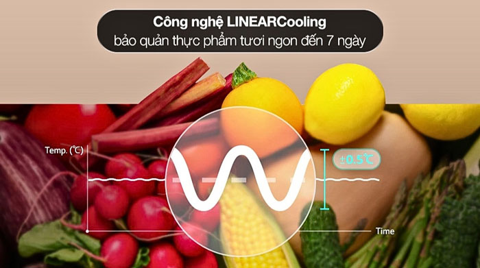 tủ lạnh LG Inverter 335 lít LBB33BLGA ứng dụng công nghệ LinearCooling hiện đại 