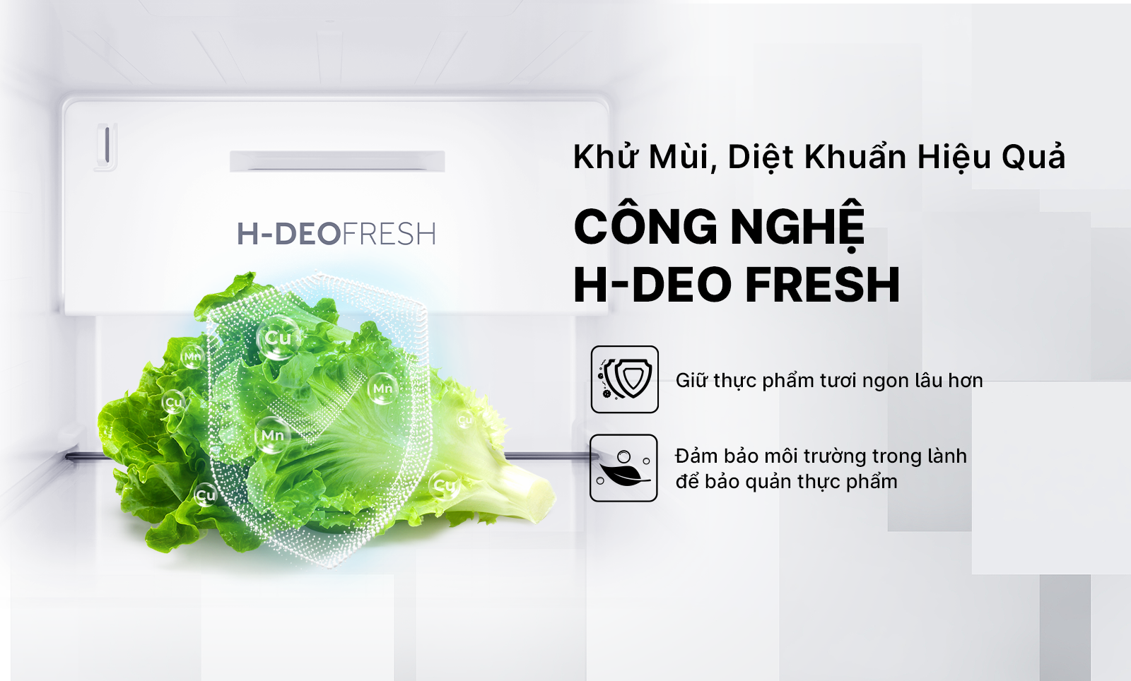 Tủ lạnh inverter  