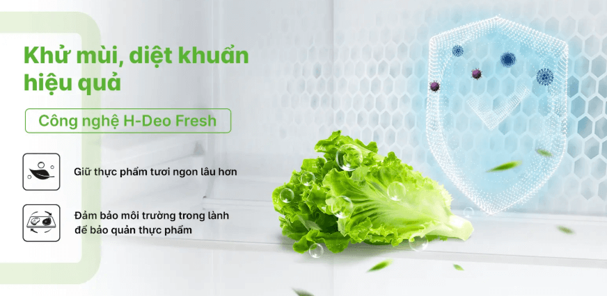 Tủ lạnh AQR-M536XA(GB) ứng dụng công nghệ kháng khuẩn, khử mùi