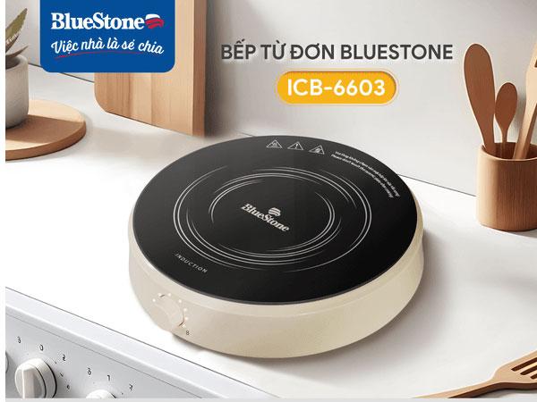 ICB-6603