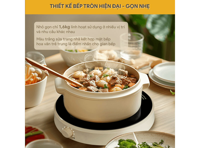 Bếp từ đơn 