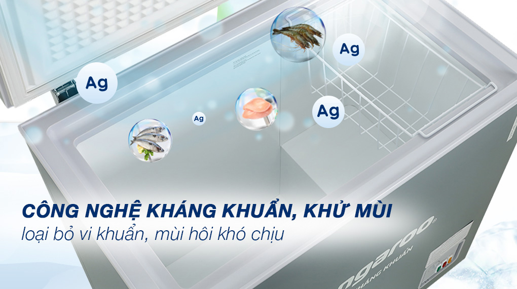 Tủ đông kháng khuẩn Kangaroo KGFZ200NG1